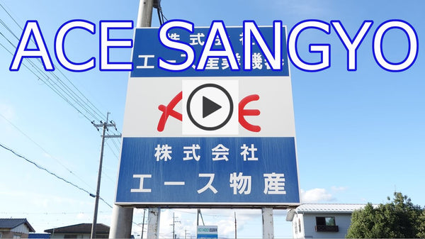 COMPANY INTRODUCTION (3min. ENGLISH)